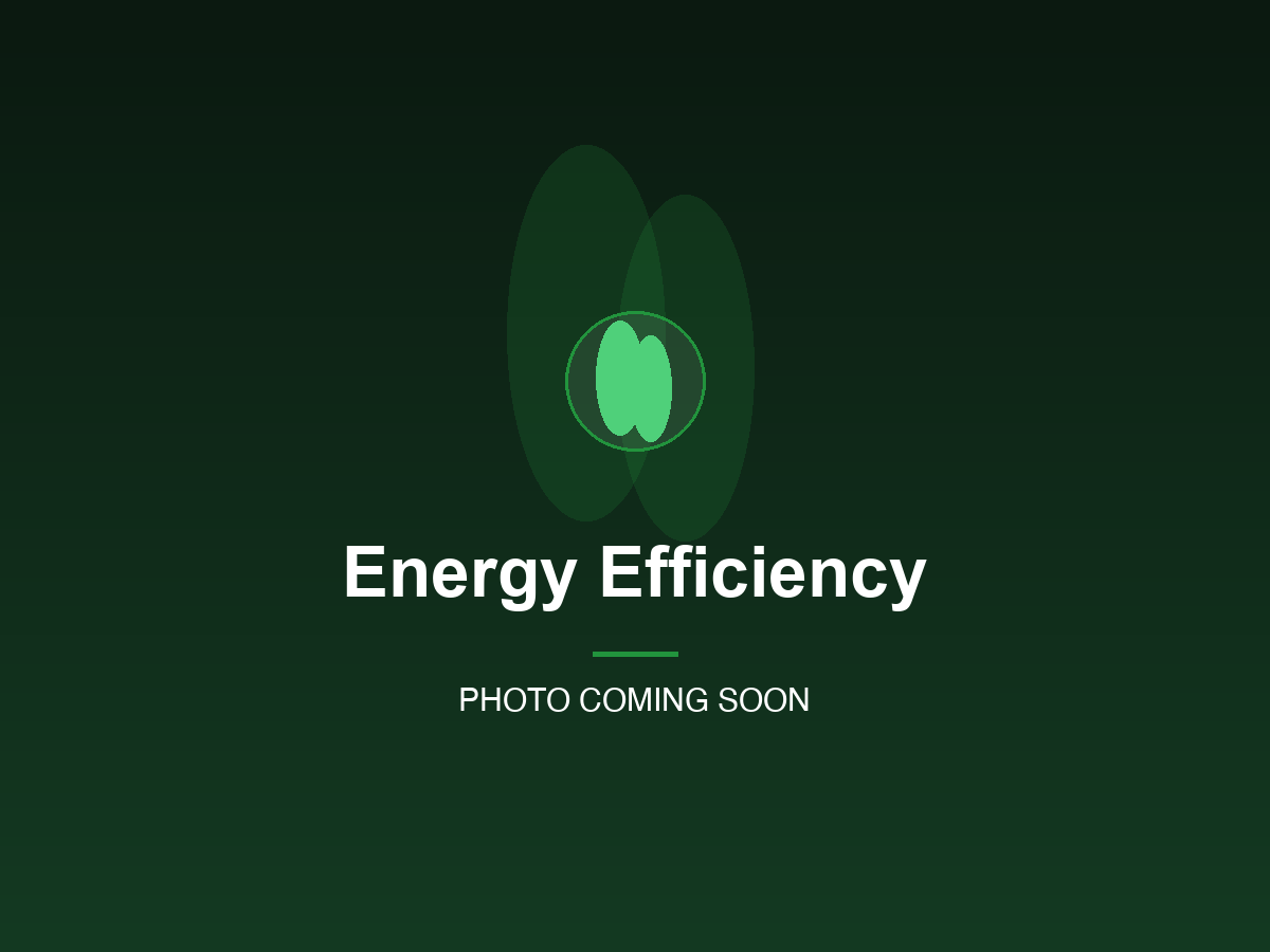 Energy Efficiency Upgrades