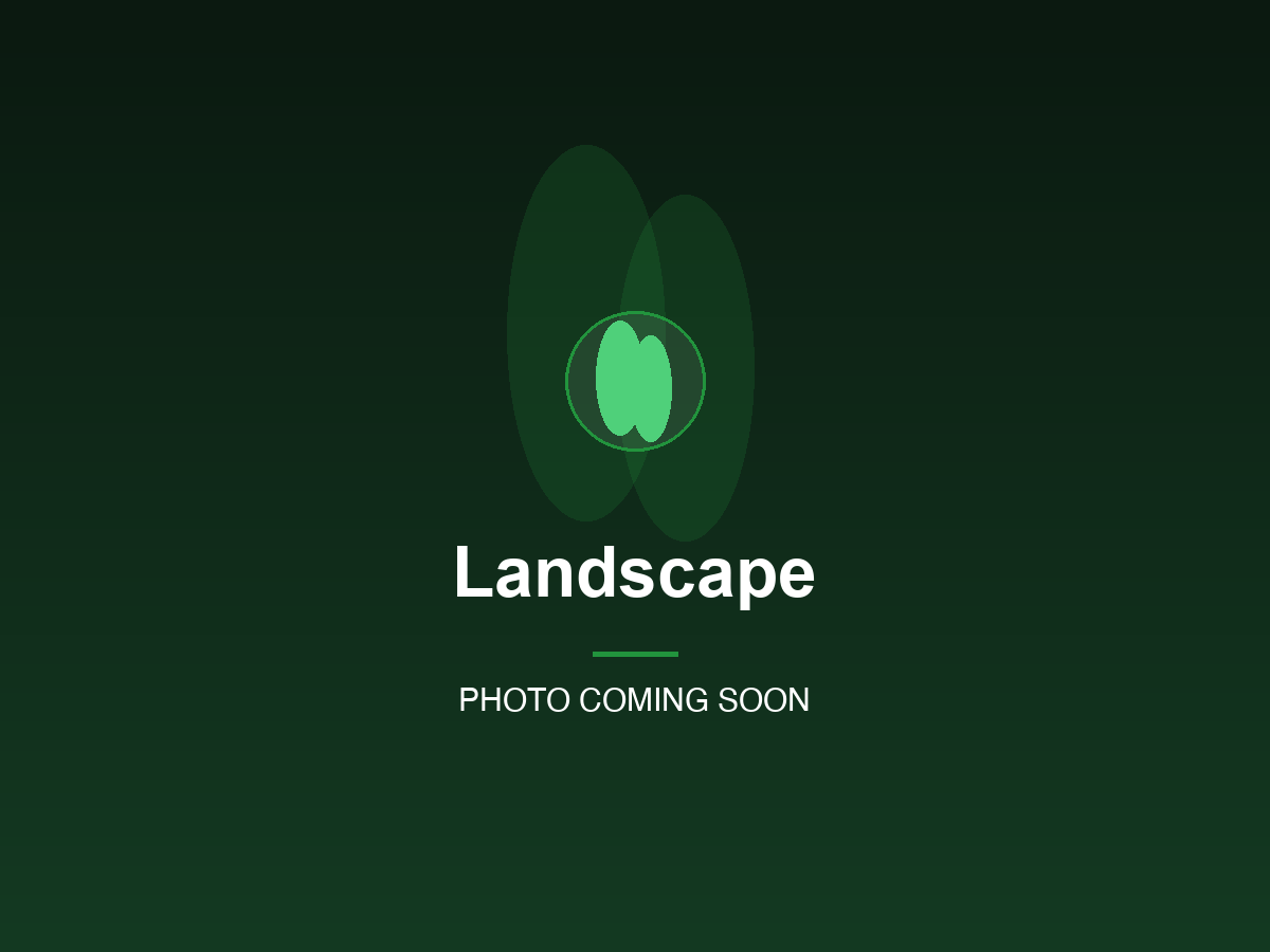 Landscape & Outdoor Living